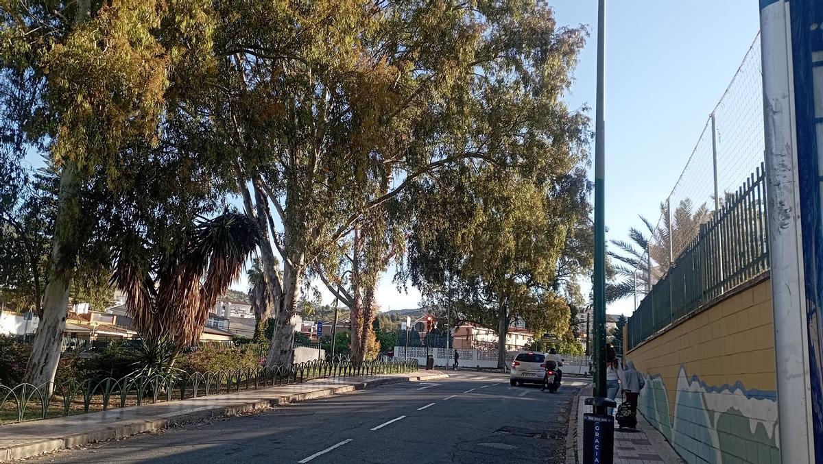 Una mujer acompaña a un niño al colegio, el pasado lunes, junto a los eucaliptos con nidos de cotorras, en la calle Antonio Gutiérrez Mata.