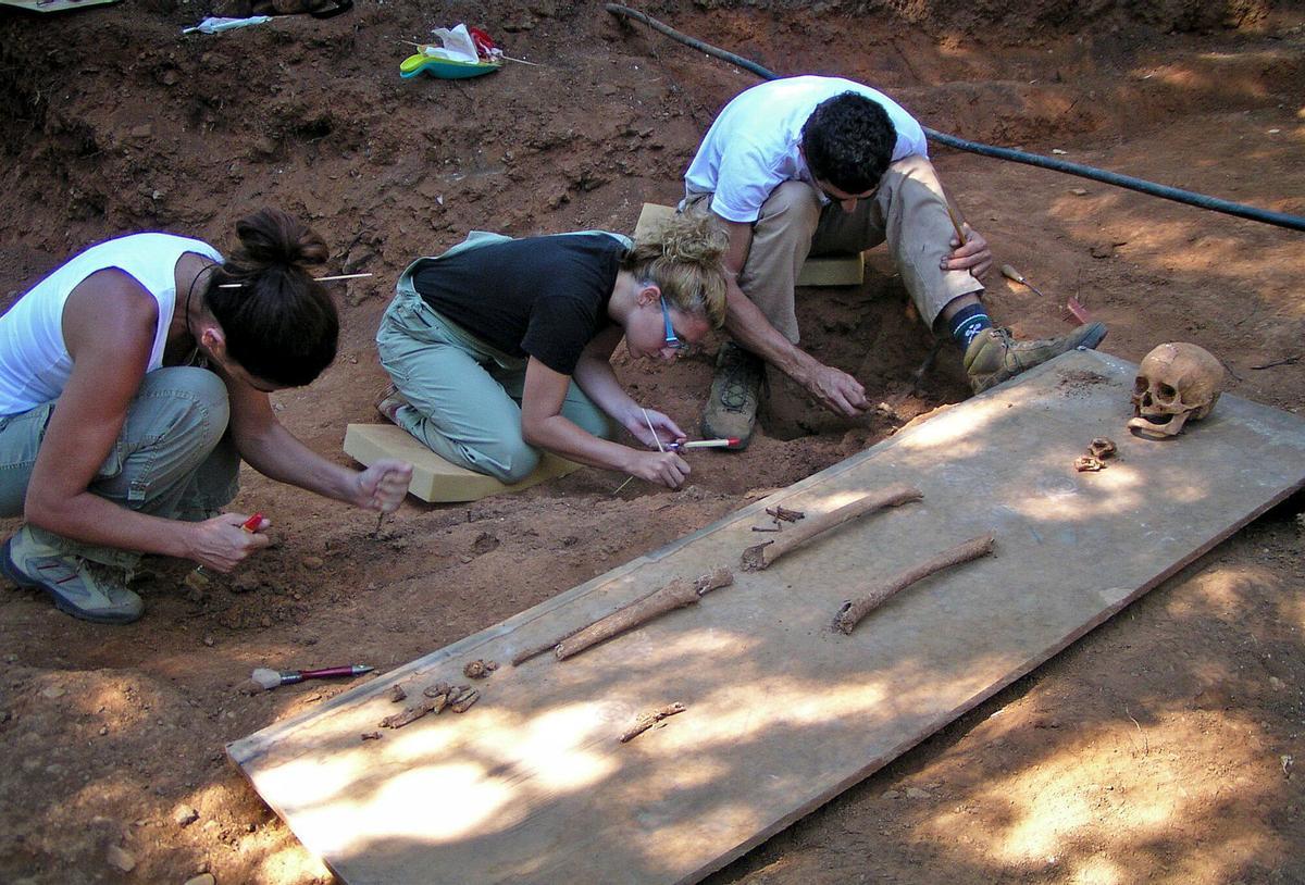 Trabajos de exhumación en una fosa de Sevilla.
