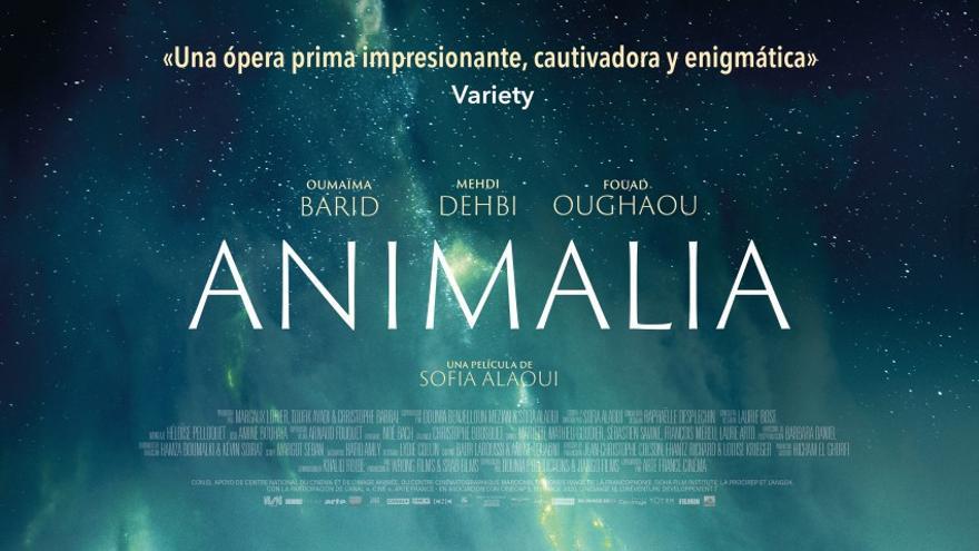 Animalia