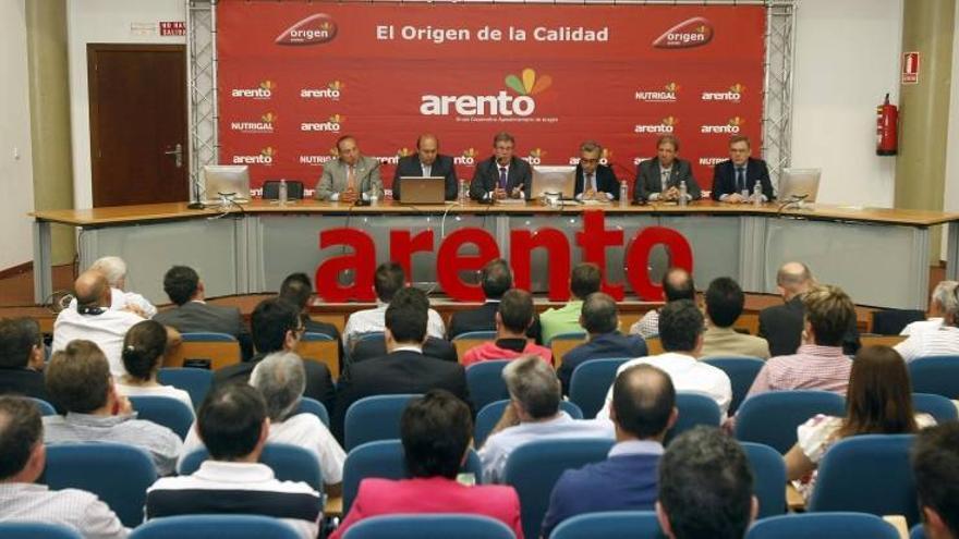 Arento ganó casi 6 millones de euros en el 2013, un 33% más
