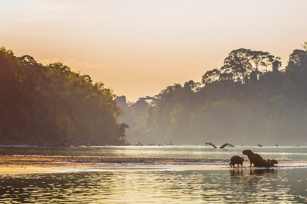 Perú, Naturaleza