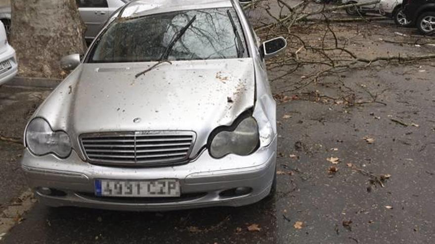 El coche recibió el impacto de una rama mientras circulaba por la Avenida Selgas, en febrero.