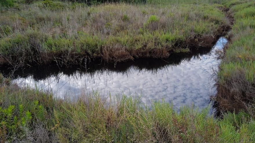 El plan de  Cartagena para atajar la plaga de mosquitos