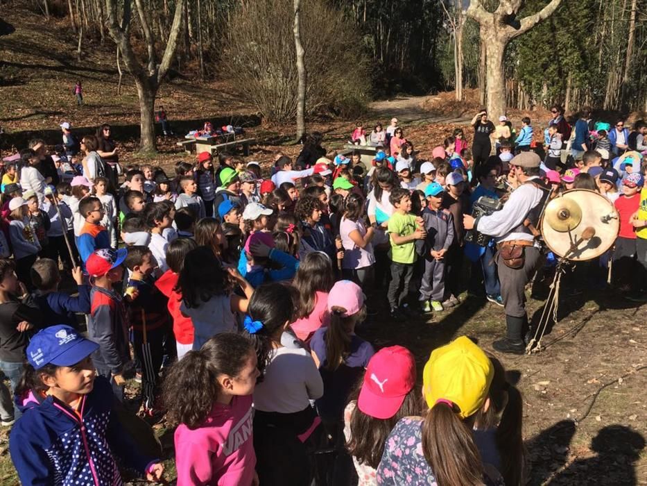 100 árboles para dar vida al monte de Meira