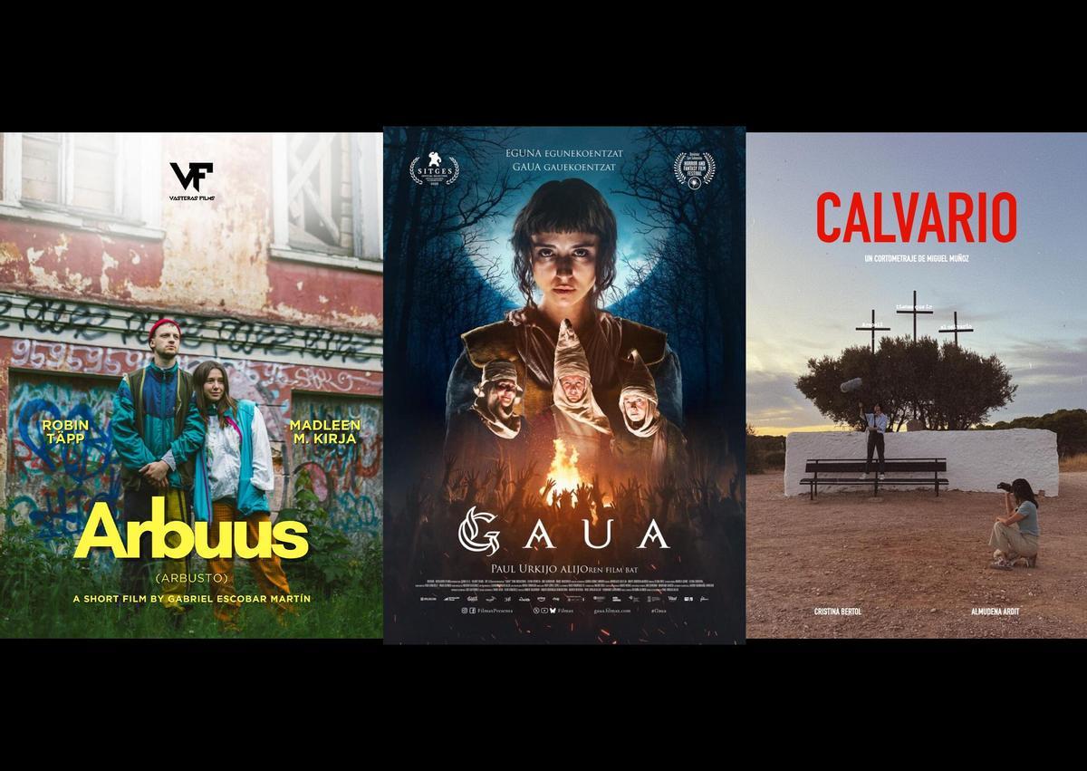 El cortometraje 'Arbuus' del murciano Gabriel Escobar Martín, la película Gaua, de Paul Urkijo y ganadora de la mejor película' y 'Calvario', del también murciano Miguel Muñoz Gascón