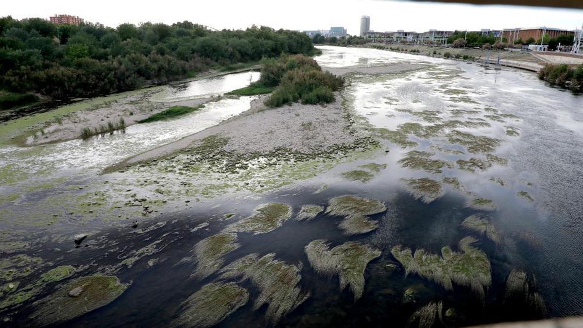 El Ebro a su paso por el meandro de Ranillas, en Zaragoza, con la torre del Agua al fondo, dejando ver una gran isleta en el cauce.