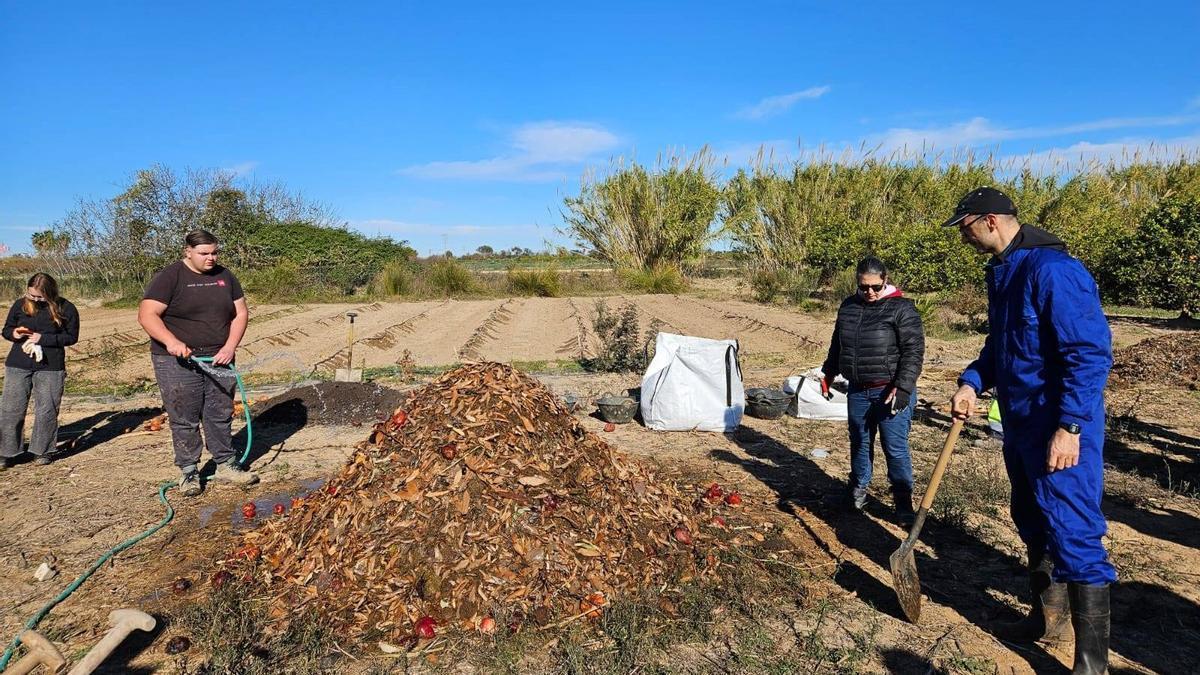 Taller de agricultura ecológica en España