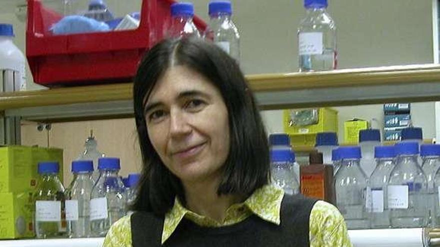 La científica María Blasco, en su laboratorio del CNIO. / efe