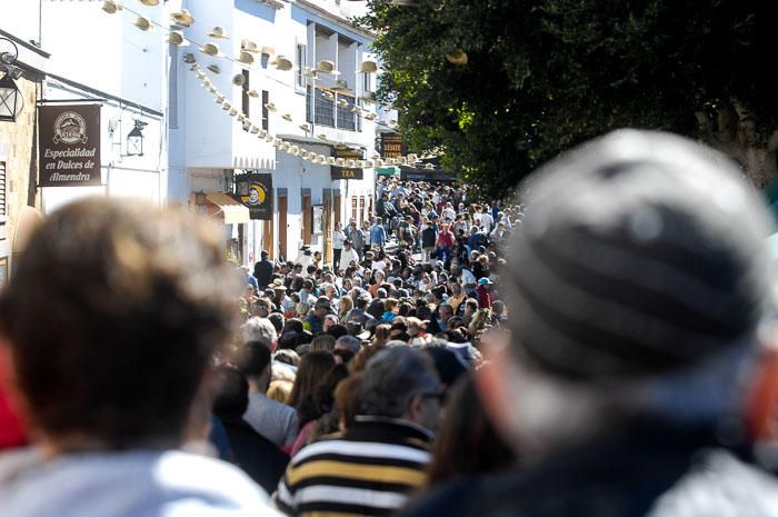 FIESTAS DEL ALMENDRO EN FLOR TEJEDA