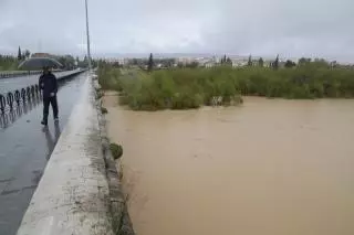 El nivel del río Guadalquivir baja en Córdoba, pero se mantiene en umbral amarillo