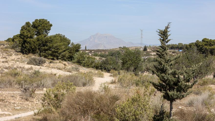 Los vecinos de Orgegia, contra la alteración del monte para la instalación de dos embalses