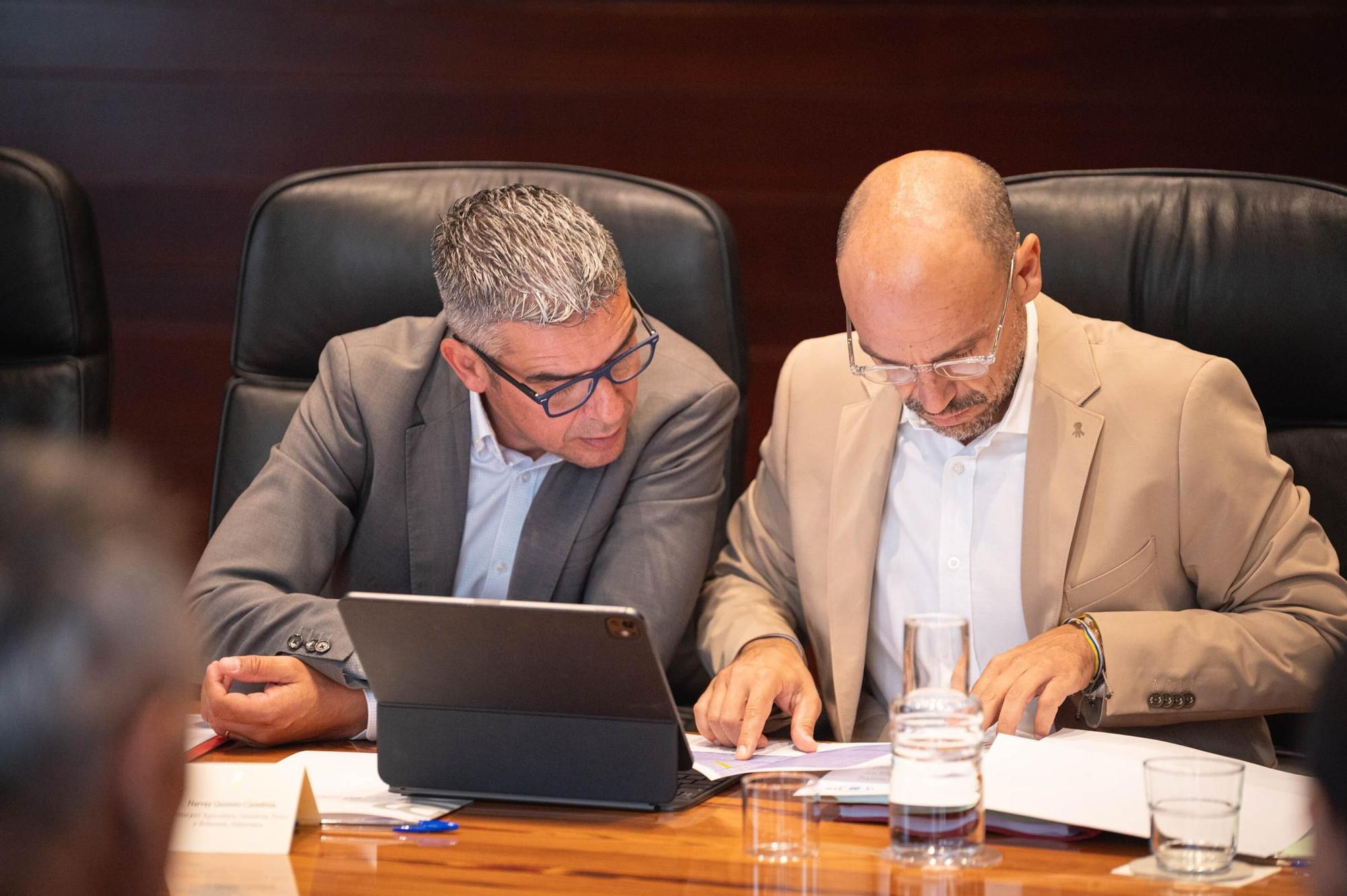 Reunión del Consejo de Gobierno de Canarias (13/10/25)