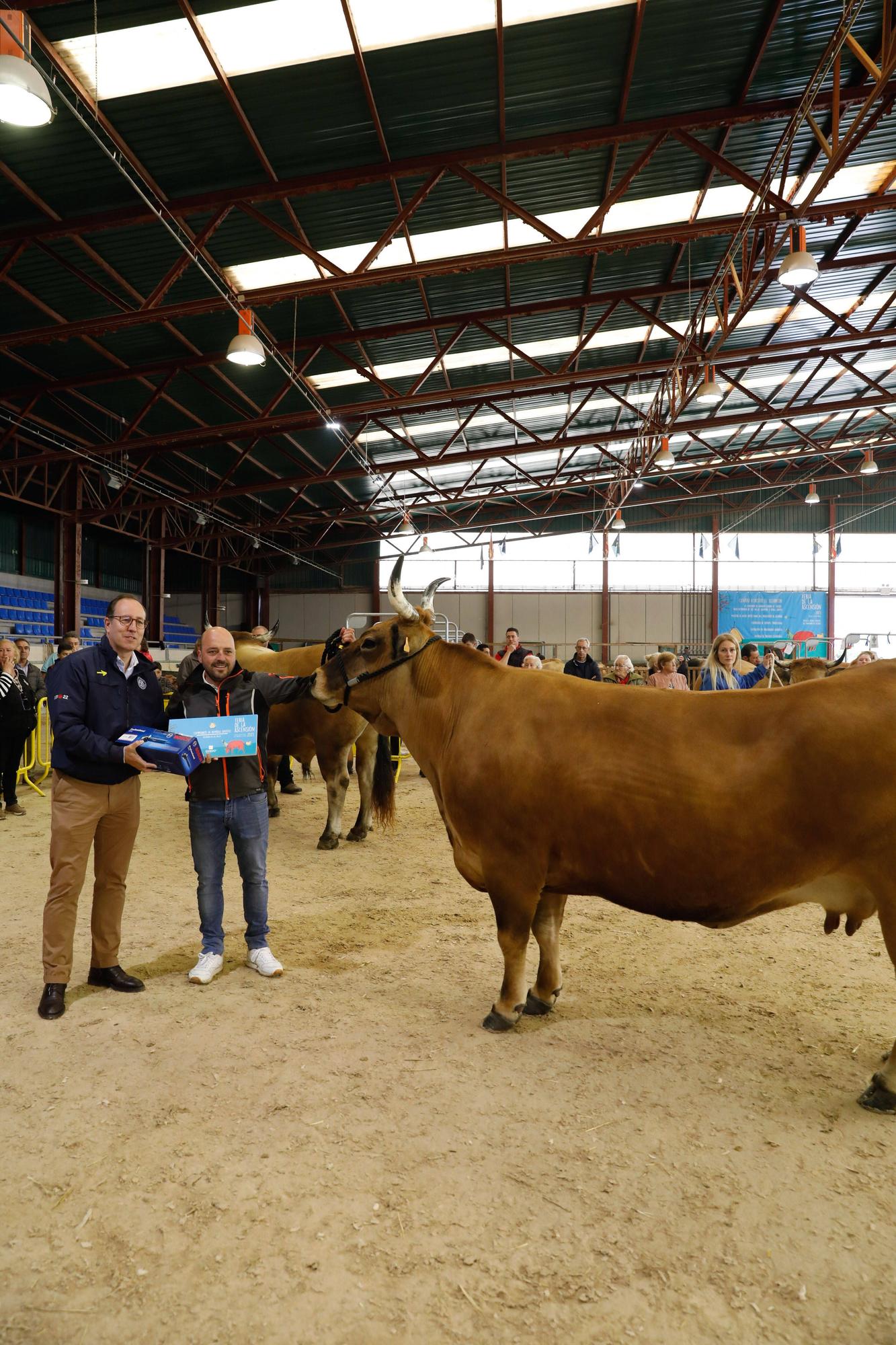 El gran cierre de La Ascensión: así fue la última jornada festiva en la feria del campo en Oviedo