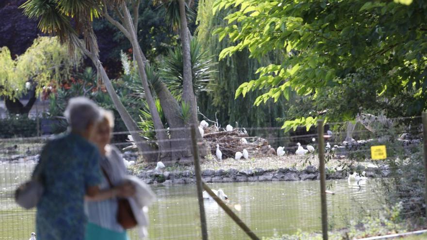 Los ecologistas urgen a llenar las lagunas de Isabel la Católica con agua dulce