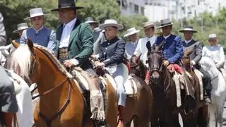 Los caballos doman la Feria de Córdoba
