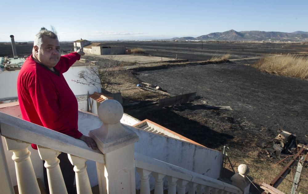 La Marjal dels Moros tras el incendio