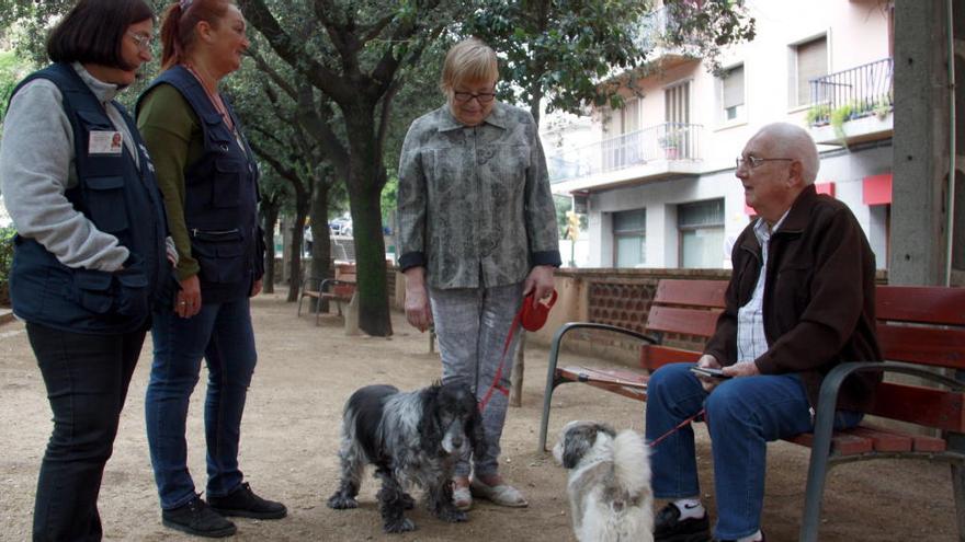 Dues agents de civisme parlant amb dos propietaris de gossos que porten els animals correctament lligats en un parc de Figueres