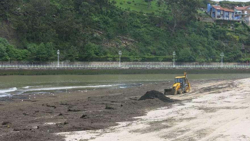 Maquinaria limpiando la playa de Santa Marina ayer, tras las últimas lluvias.