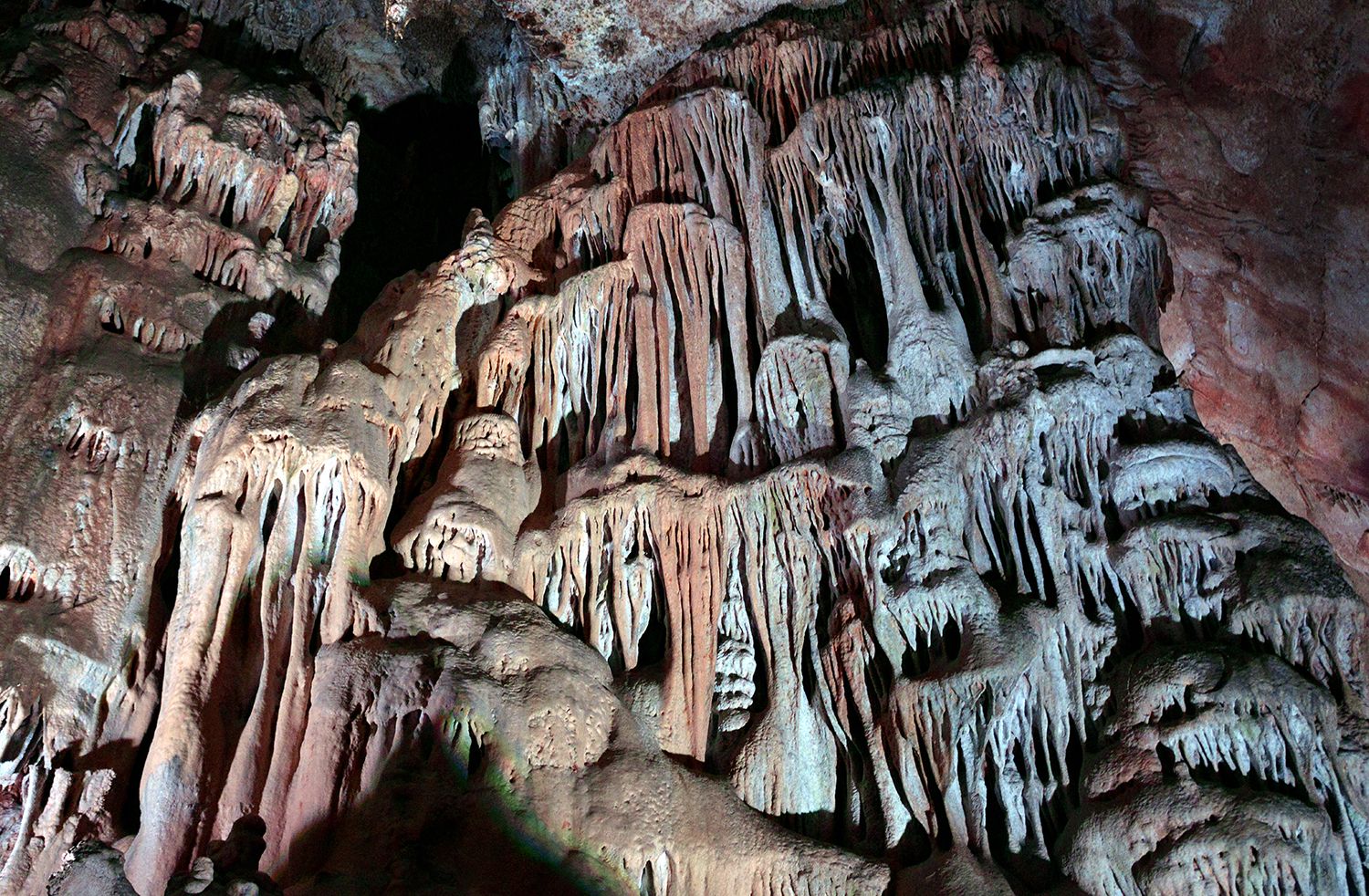 Formaciones de medusas en la cueva de los Franceses. Pomar de Valdivia.