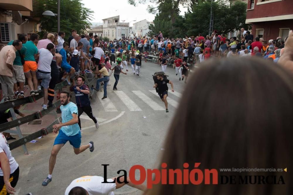 Quinto encierro en Calasparra