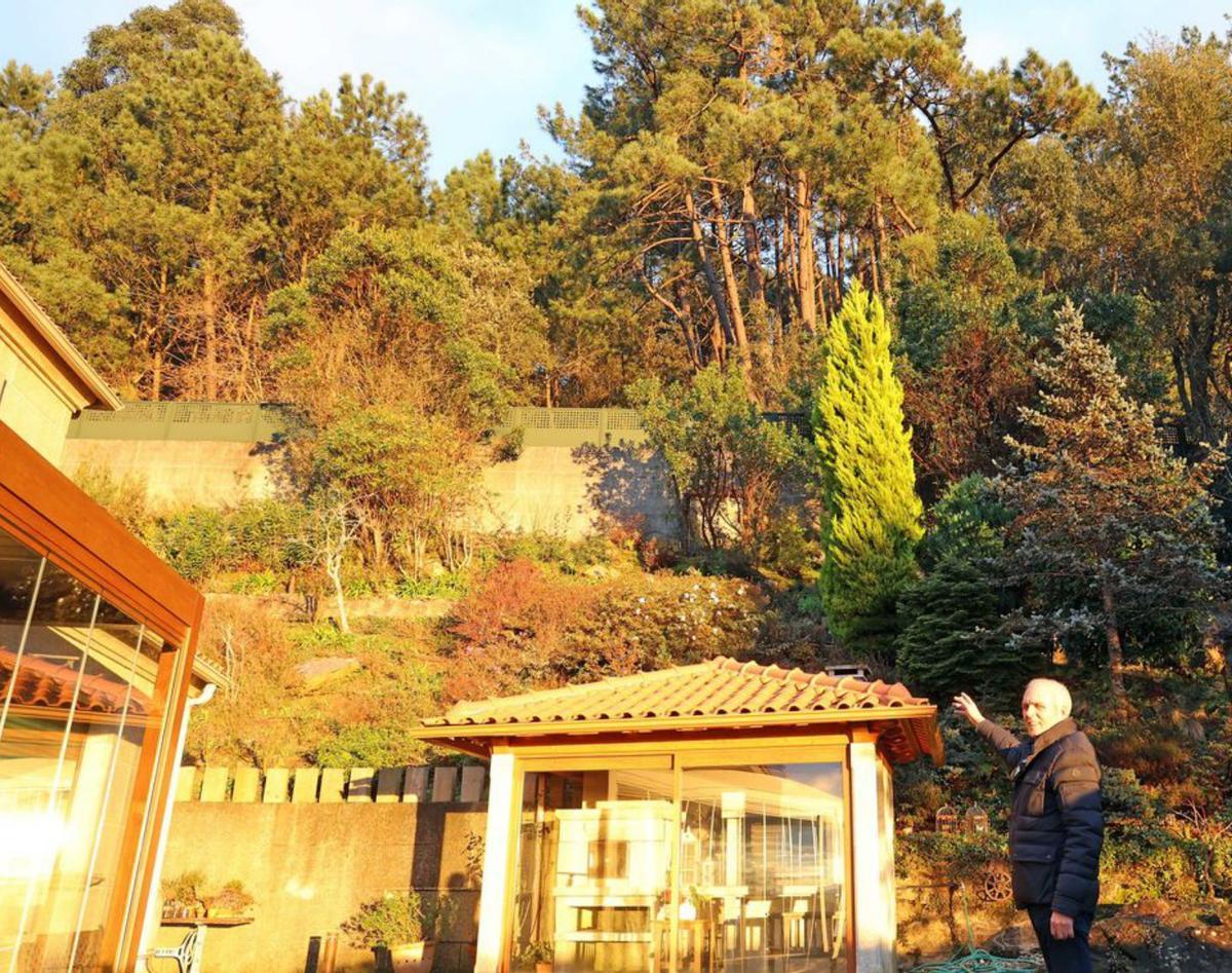 Silvino Tenorio muestra unos pinos pegados a su propiedad.  |  // M.G.B.