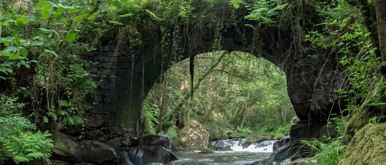 El puente, a penas visible bajo la frondosa vegetación. /Asociación Vagalumes