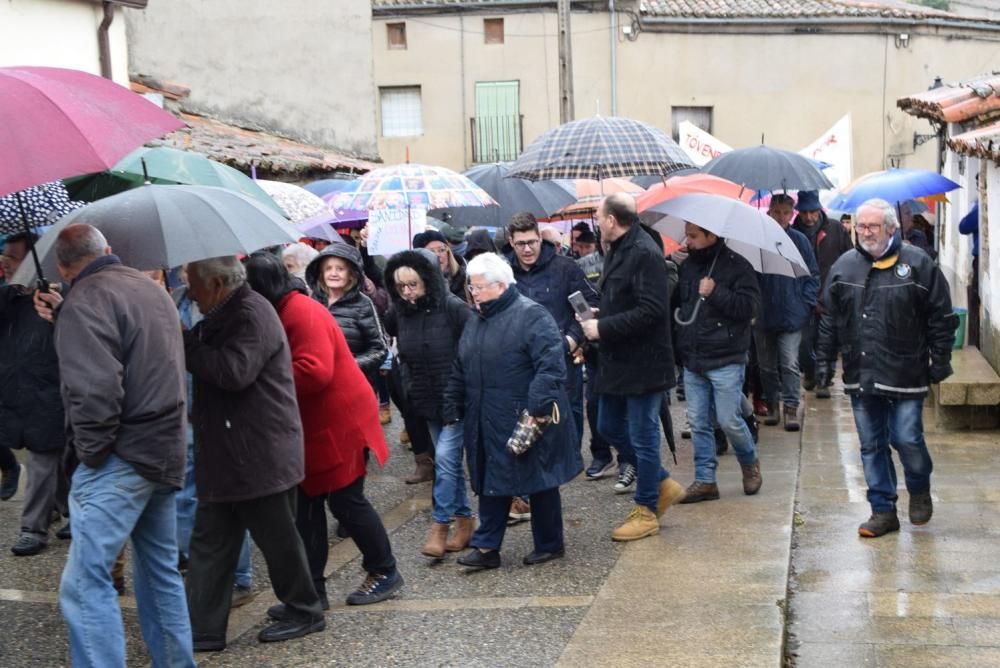 Manifestación por la sanidad pública en Aliste.