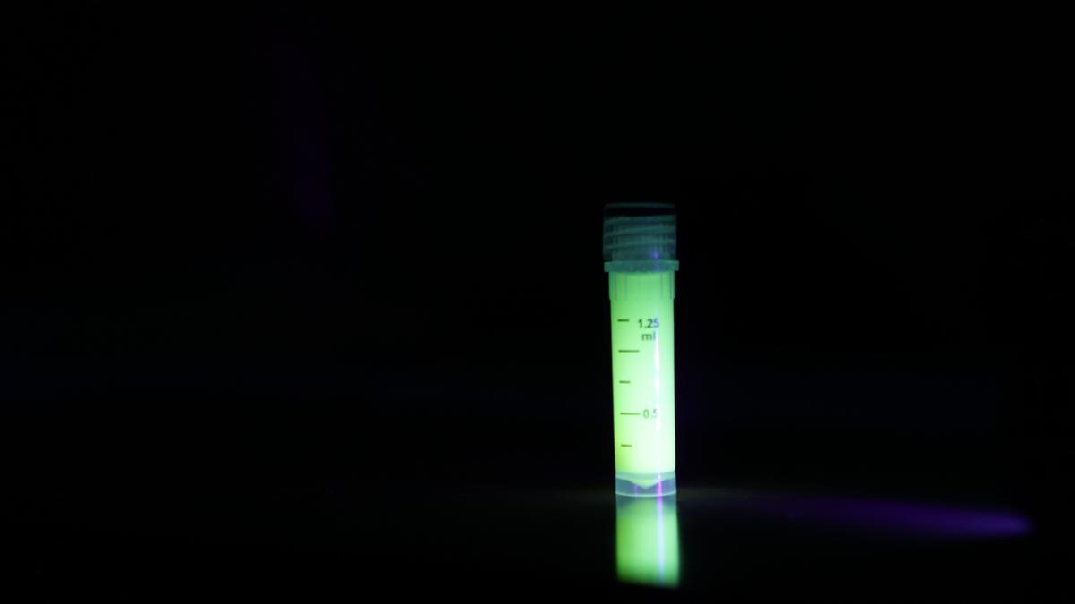 Crean un gel hidroalcohólico luminiscente para manos que permite monitorizar la calidad de la desinfección