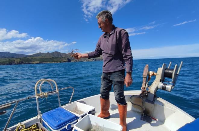 Un pescador devolviendo al mar organismos capturados accidentalmente