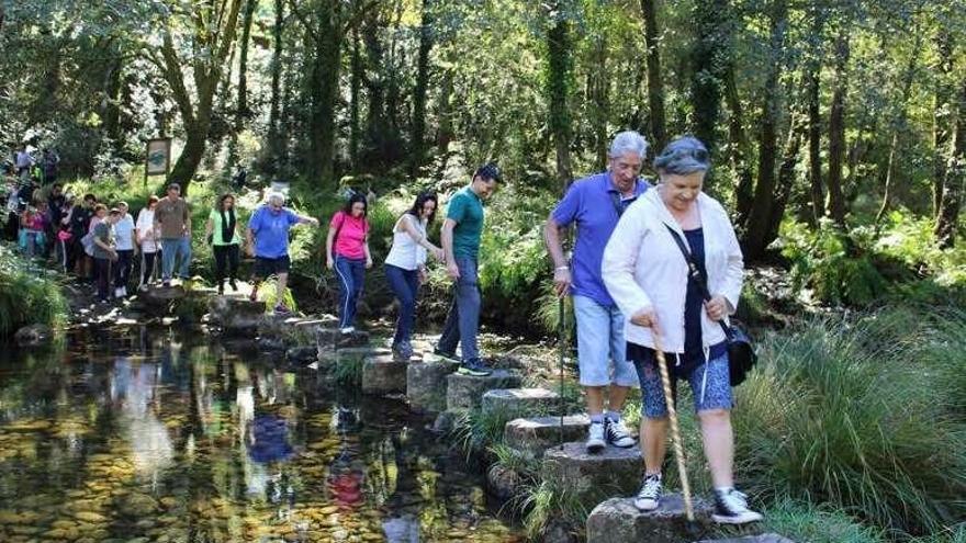 Participantes en una ruta de senderismo en Ponte Caldelas. // FdV