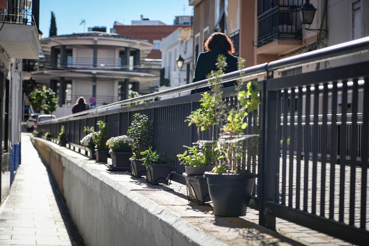Algunas de las jardineras que ya decoran la calle.