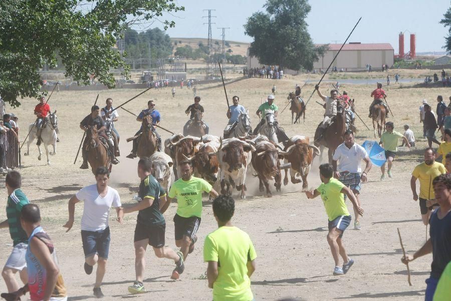 Fiestas en Zamora: Segudos espantes de Fuentesaúco