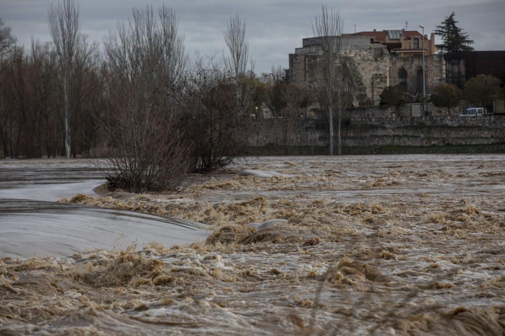 Crecida del río Duero por Zamora capital.