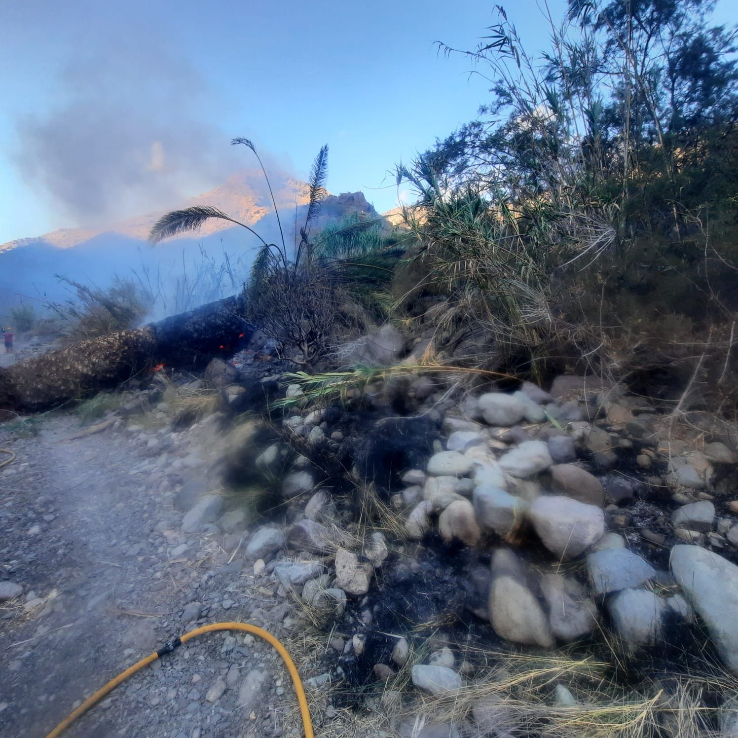 Conato de incendio en Mogán