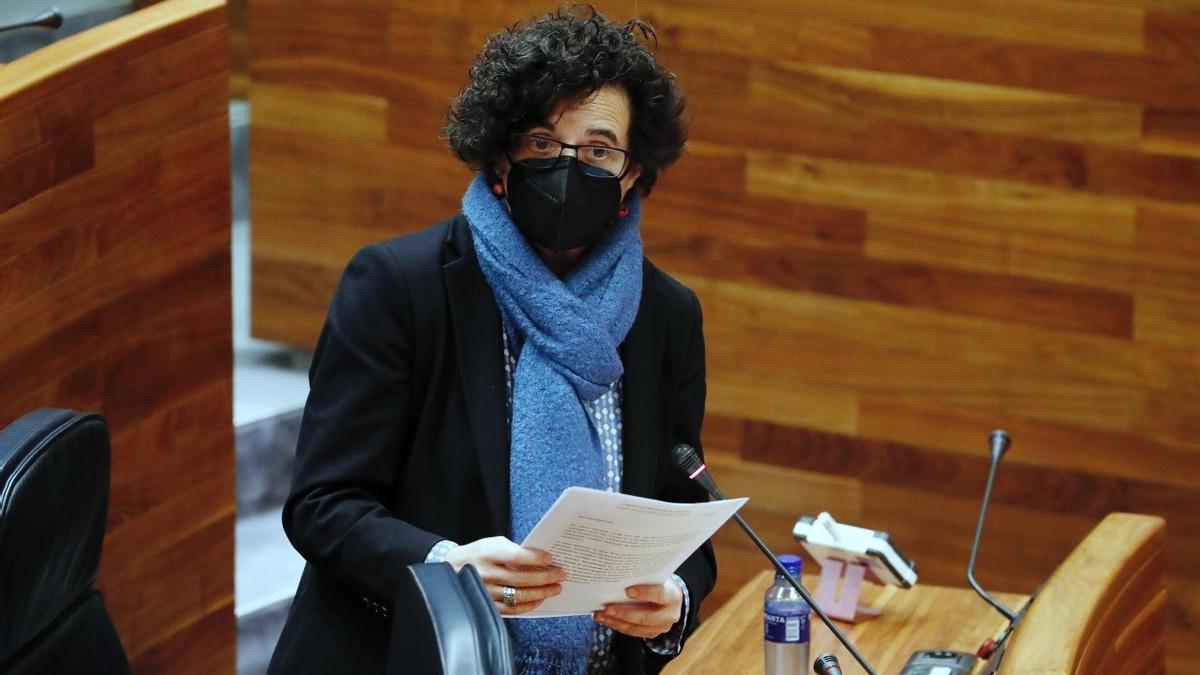 Berta Piñán durante su comparecencia en la Junta General del Principado