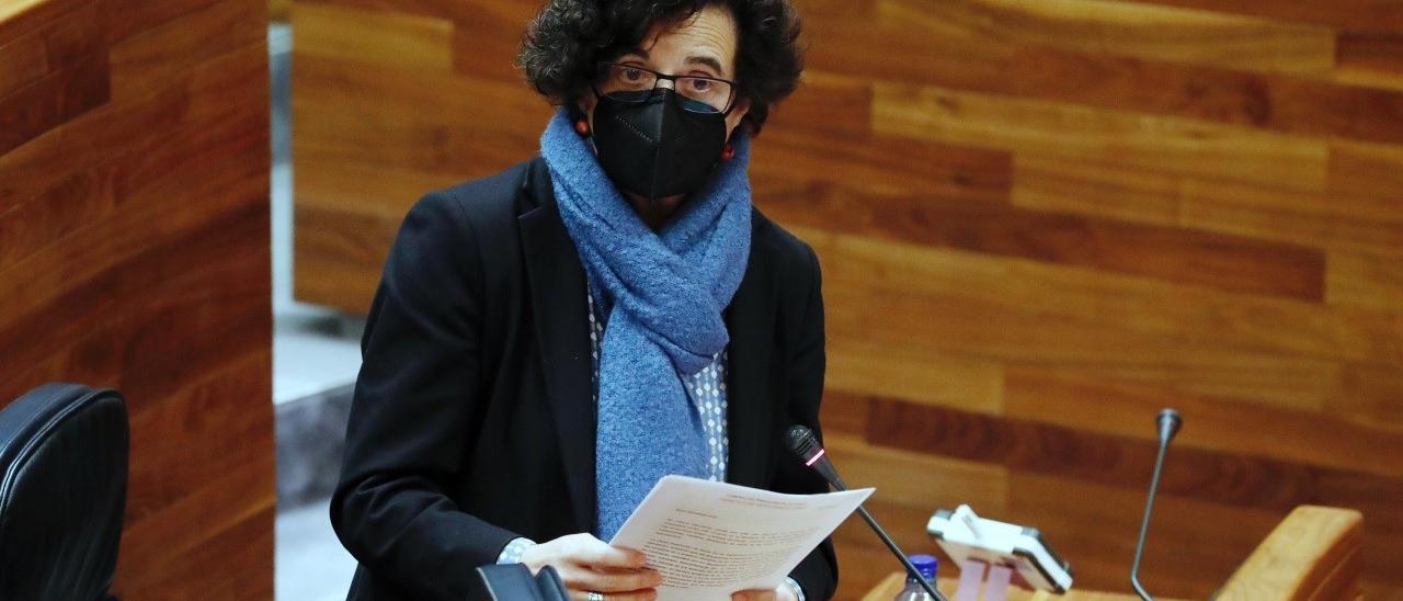 Berta Piñán durante una comparecencia en la Junta General del Principado.