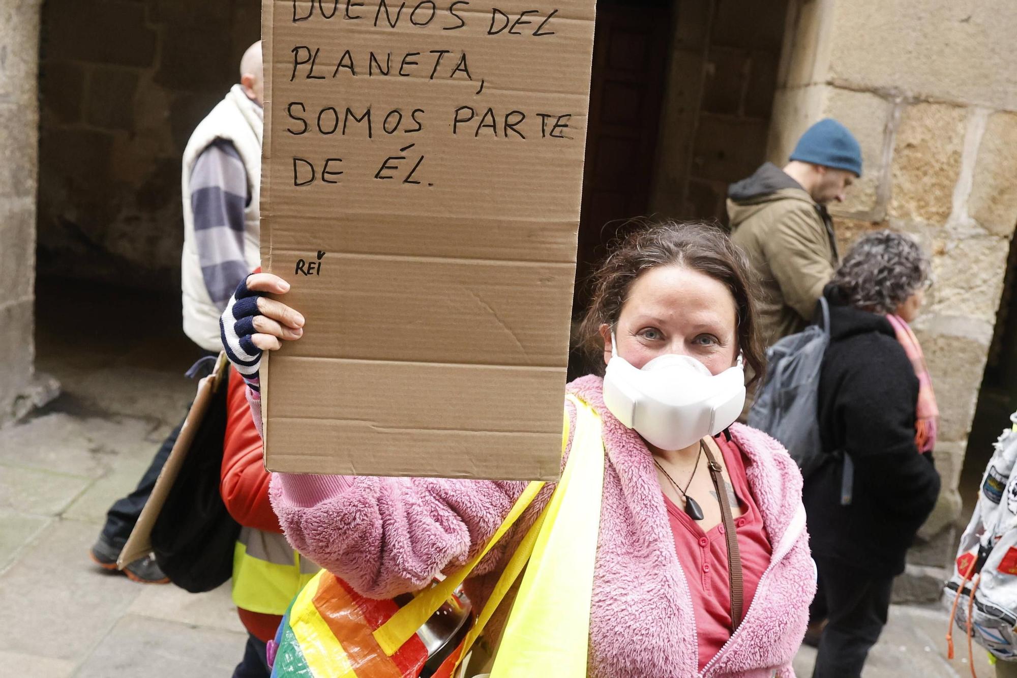 Así se ha desarrollado la manifestación por la crisis de los pélets en Santiago