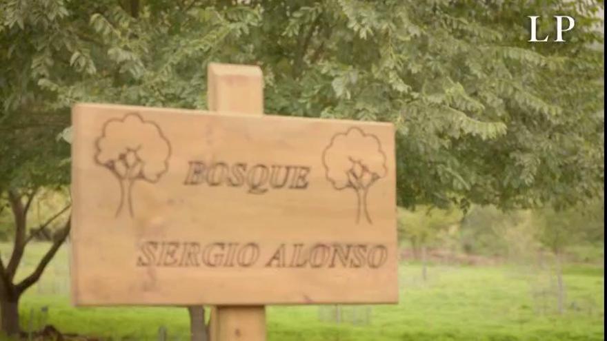 Plantación en Osorio del Bosque Sergio Alonso