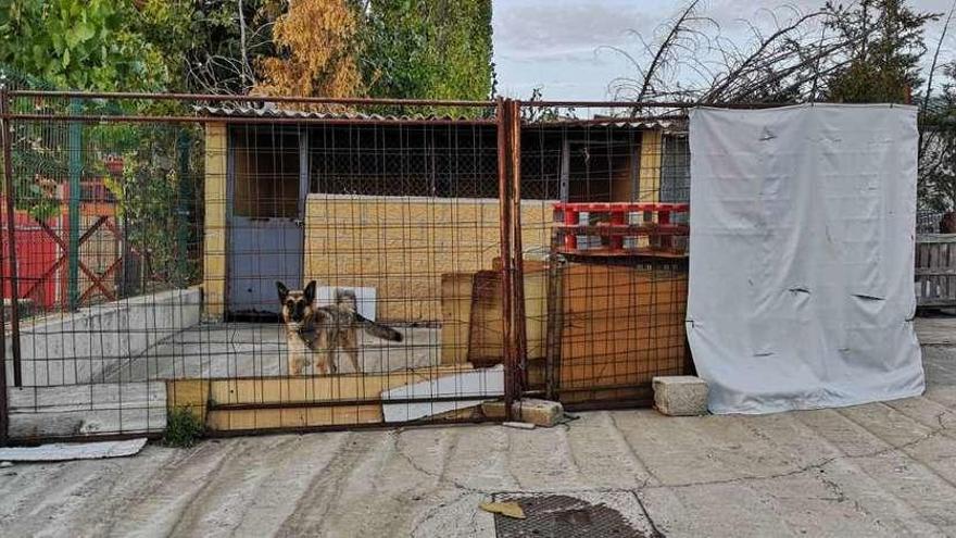 Imágen de las instalaciones de la perrera municipal, cuya improvisada valla presenta un estado avanzado de oxidación.