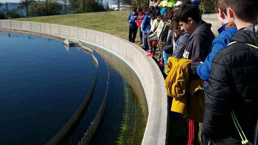 Alumnos de Tirán en la depuradora de aguas moañesa.