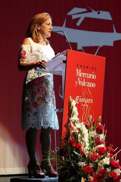 Premios Mercurio y Vulcano 2017