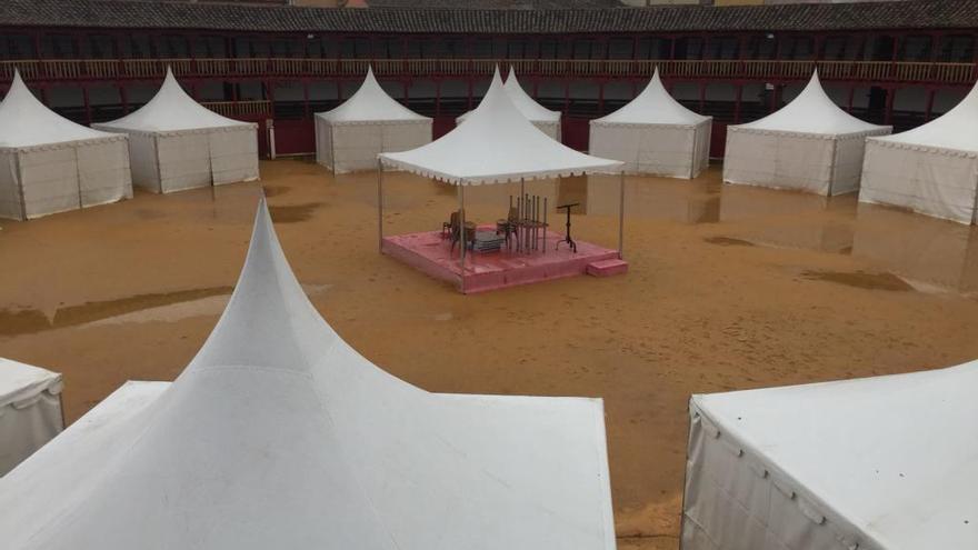 Estado que presenta la plaza de toros de la ciudad