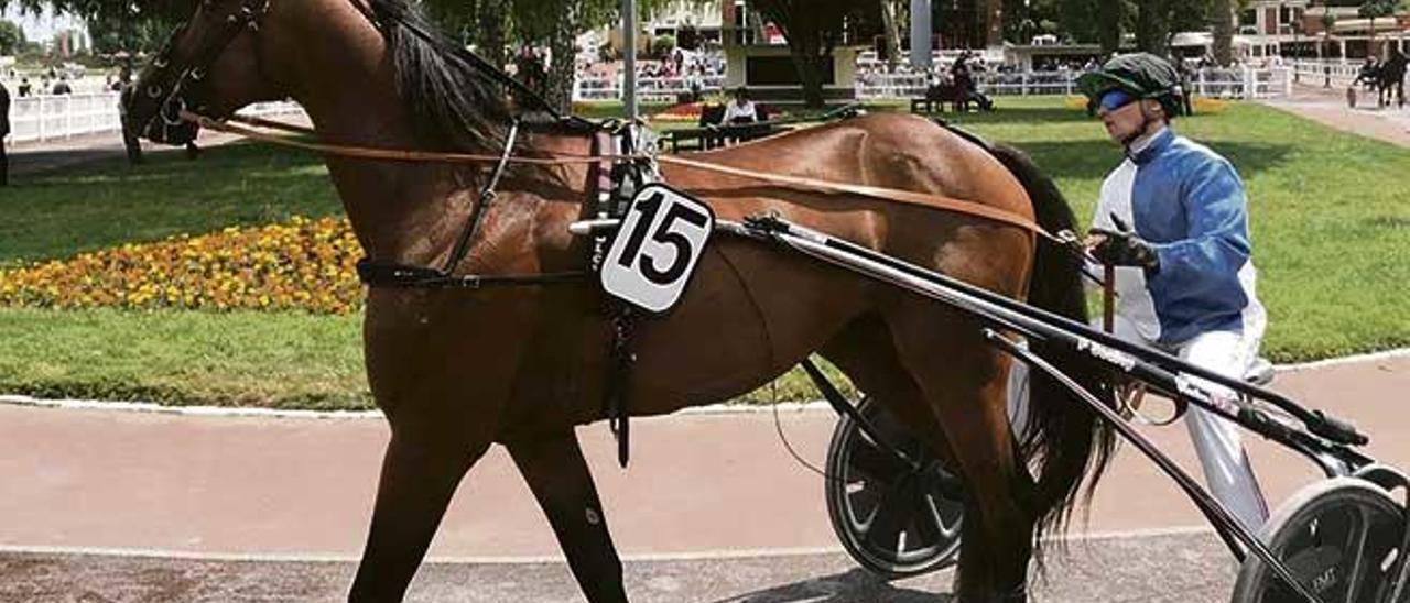 Amor de Font el pasado domingo en el hipódromo de París-Enghien, bajo la dirección del francés David Thomain.