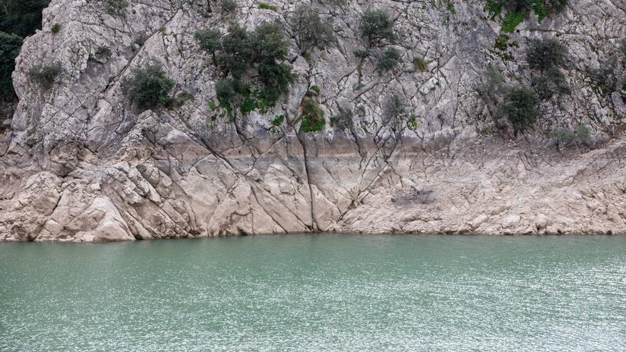 Hitze auf Mallorca: Wie ist es jetzt im Juli um die Wasserressourcen bestellt?