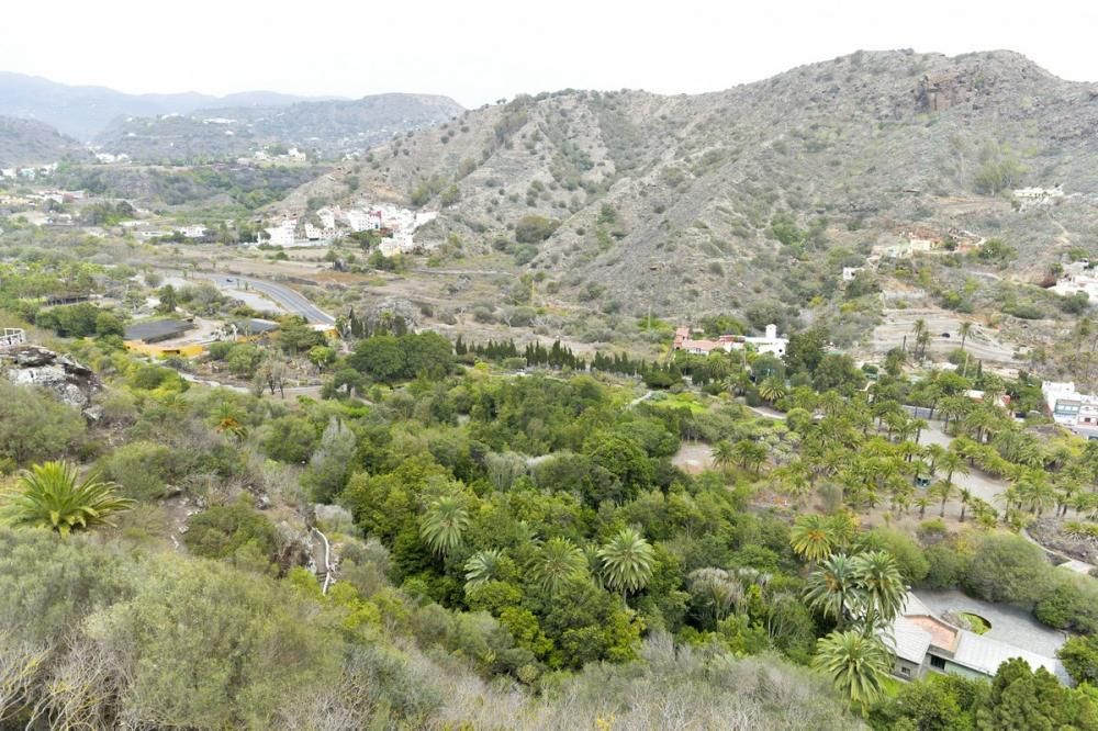 El Jardín Canario para evadirse del confinamiento