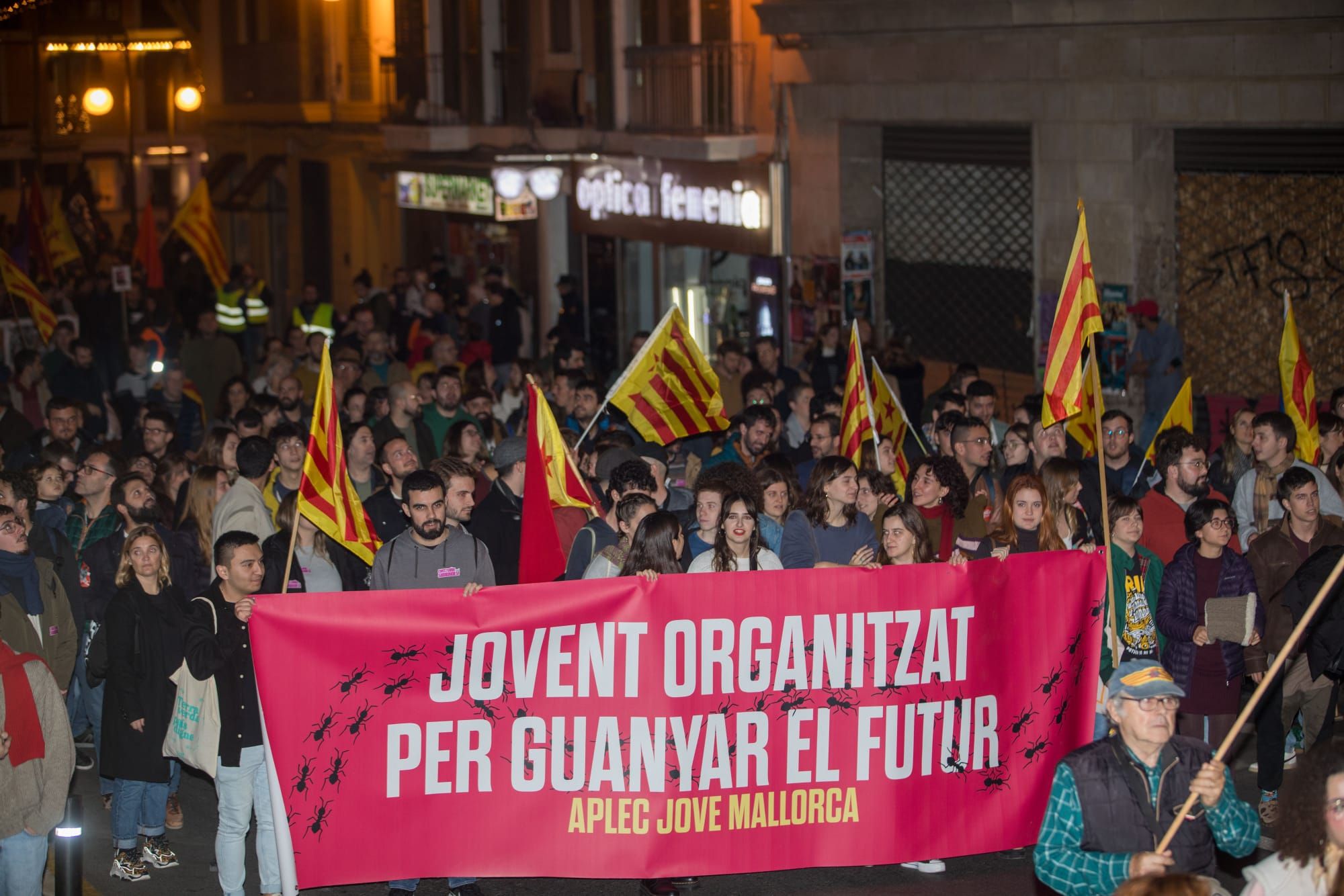 Manifestación de la Diada del 31 de Diciembre en Palma