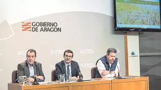 Lécera, epicentro de los productos ecológicos y de proximidad