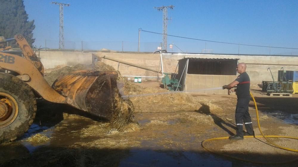 Incendio en una finca agrícola de Pilar de la Horadada