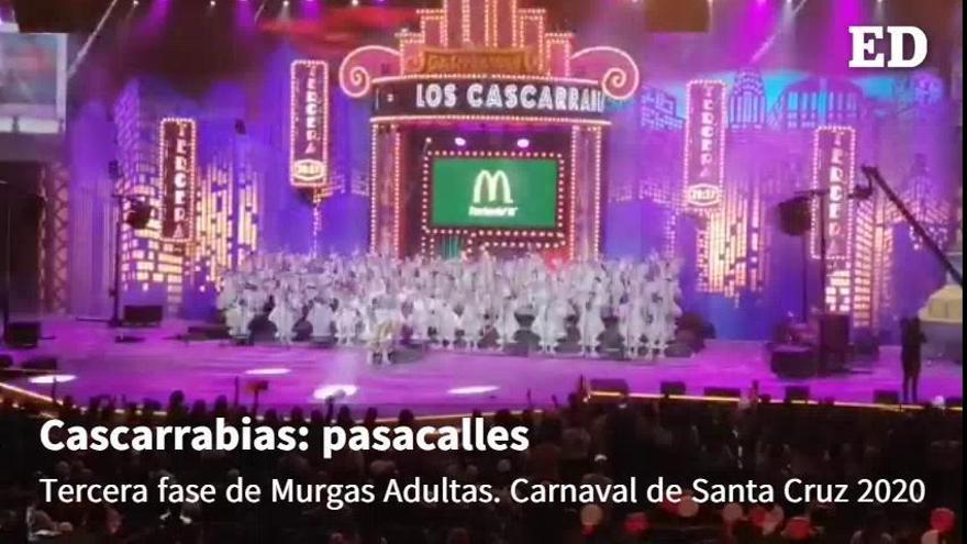 Cascarrabias: pasacalles | Tercera fase del Concurso de Murgas Adultas del Carnaval de Santa Cruz 2020