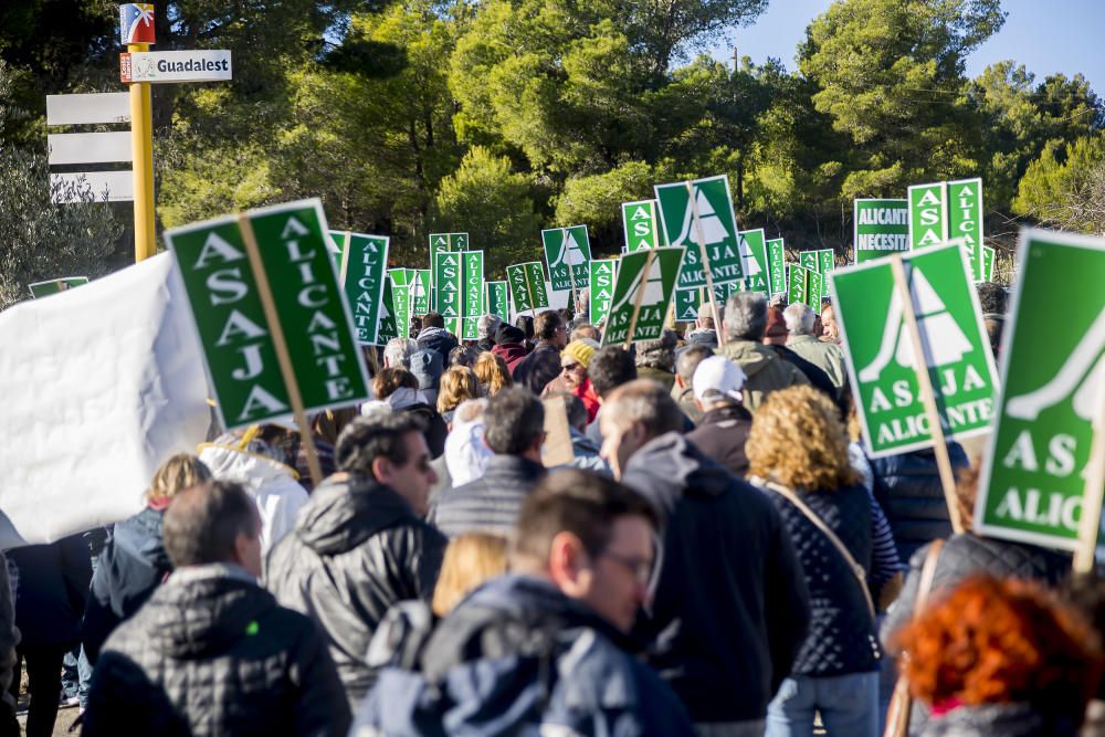 Agricultores de la provincia se manifiestan contra el plan de erradicación de la Xylella del Consell